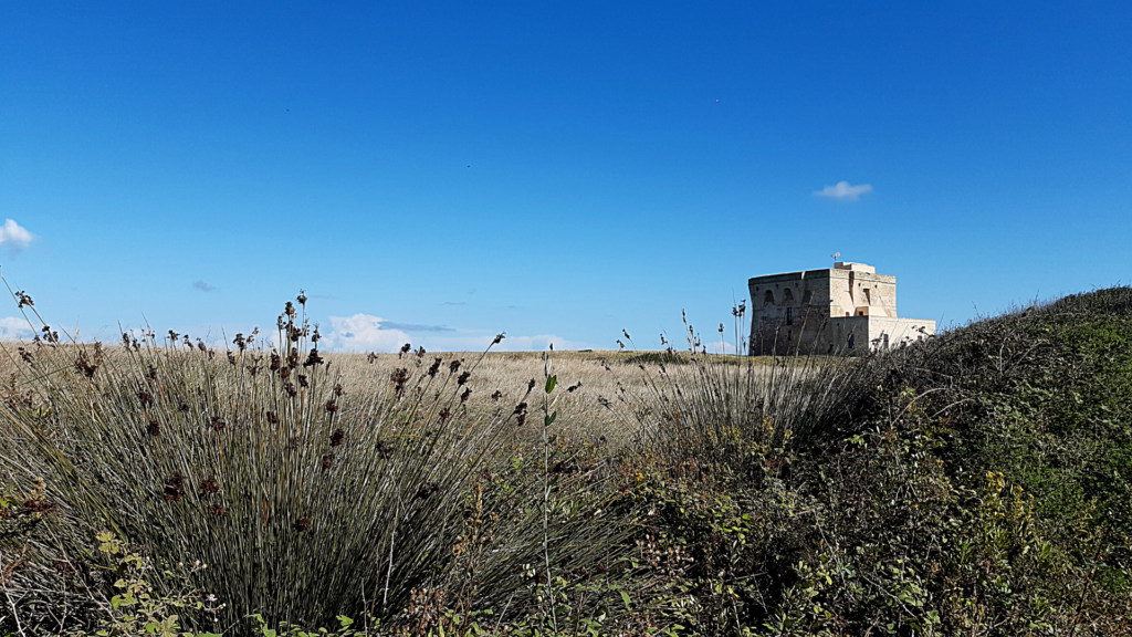 La Torre Aragonese